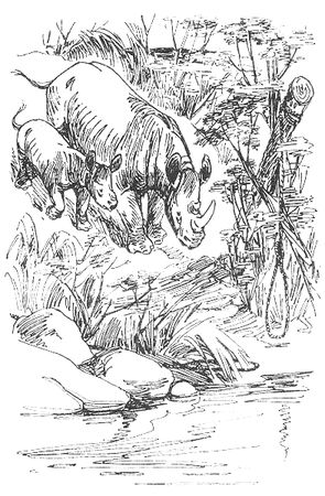 Джон Дэвис - Операция "Носорог"