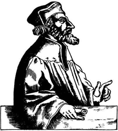 Сборник - Папоротники