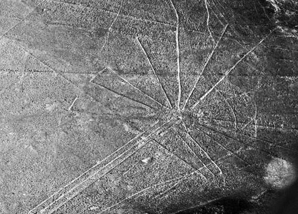 Андрей Скляров - Наска: гигантские рисунки на полях