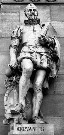 Сборник - Папоротники