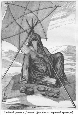 Жюль Верн - История великих путешествий. Том 3. Путешественники XIX века