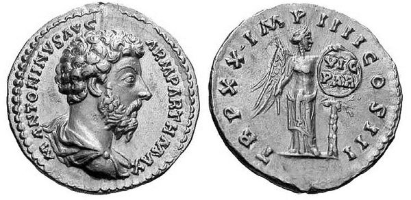 Сборник - Папоротники