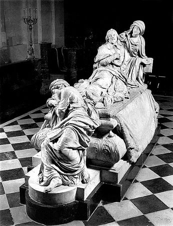 Сборник - Папоротники