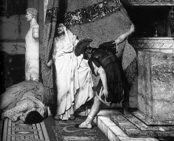 Сборник - Папоротники