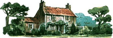 Дик Кинг-Смит - Нос королевы