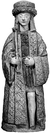 Сборник - Папоротники