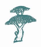 Анастасия Коскелло - Избранник Святой Троицы. Книга о Преподобном Сергии Радонежском