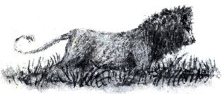 Дикие кошки