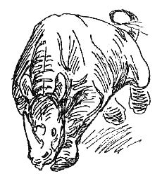 Джон Дэвис - Операция "Носорог"