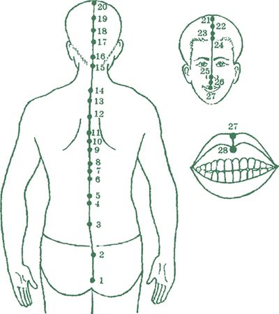 Дина Крупская - Лестница в небо, или Китайская медицина по-русски