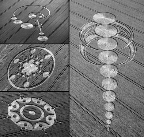 Андрей Скляров - Наска: гигантские рисунки на полях