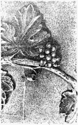 Геральд Матюшин - Историческое краеведение