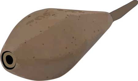 Константин Сторожев - Ловля карпа, леща, толстолобика, белого амура. Секреты и...