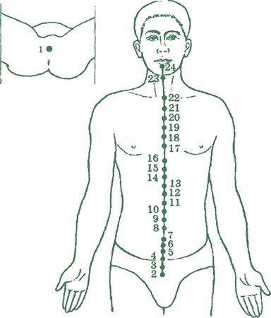 Дина Крупская - Лестница в небо, или Китайская медицина по-русски