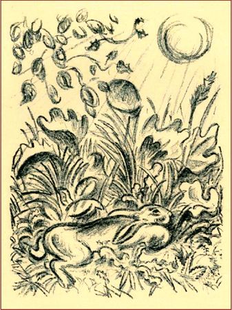 Франсис Жамм - История зайца