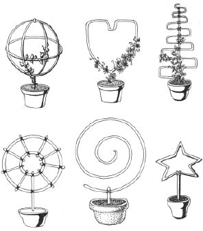 Наталья Логачева, Наталья Шешко - Энциклопедия комнатных растений