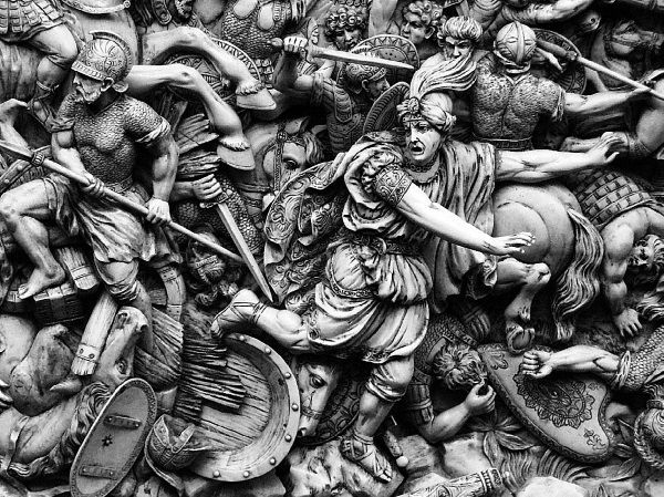 Сборник - Папоротники