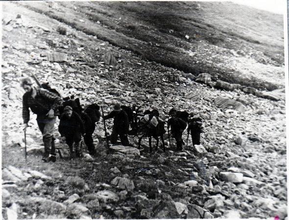 Наталья Притвиц - Саянский дневник