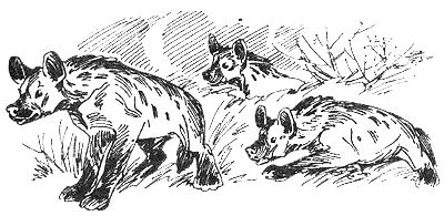 Джон Дэвис - Операция "Носорог"