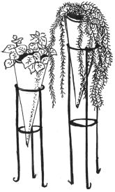 Наталья Логачева, Наталья Шешко - Энциклопедия комнатных растений