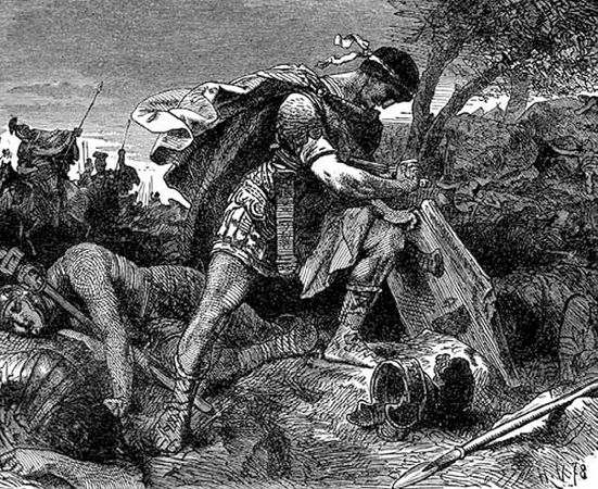 Сборник - Папоротники