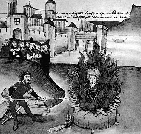 Сборник - Папоротники