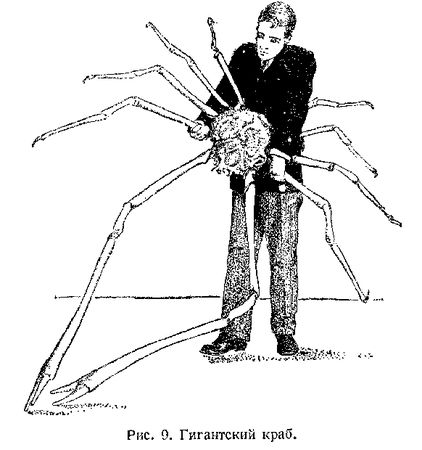 В. Богоров - Подводный мир