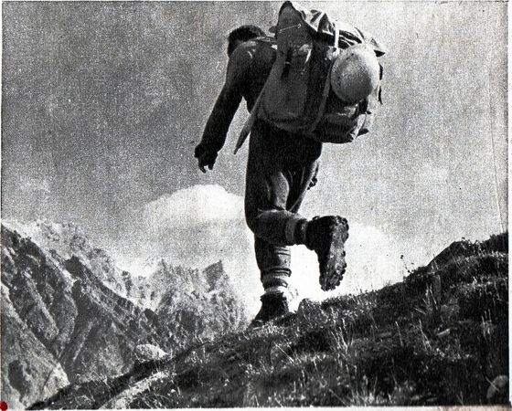 Наталья Притвиц - Саянский дневник