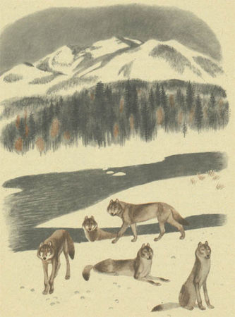 Виталий Коржиков - Вот какой Пахомов!