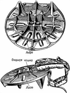НКО СССР - Наставление по стрелковому делу (НСД-40 82БМ) 82-мм батальонный миномет