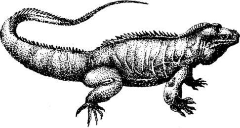 Яков Свет - Одиссея поневоле