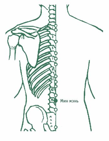 Дина Крупская - Лестница в небо, или Китайская медицина по-русски