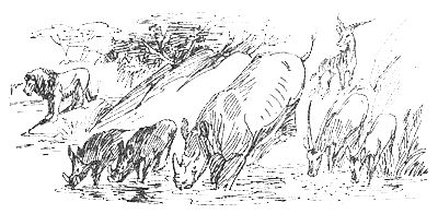 Джон Дэвис - Операция "Носорог"