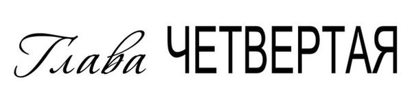 Темная дикая ночь