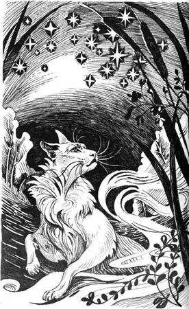 Эрин Хантер - Нерассказанные истории: История Остролистой