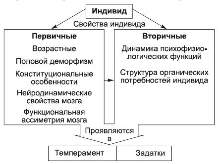 Анатолий Маклаков - Общая психология: Ответы на экзаменационные билеты