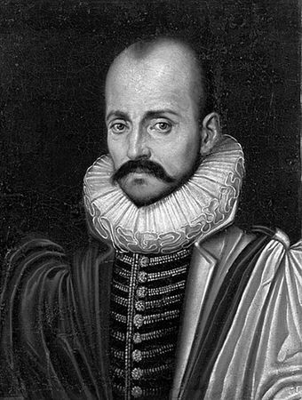 Сборник - Папоротники