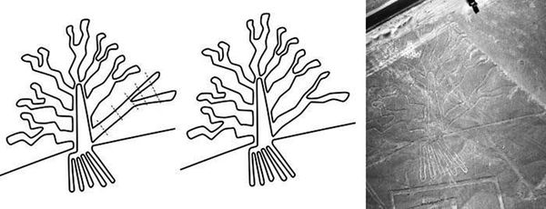 Андрей Скляров - Наска: гигантские рисунки на полях