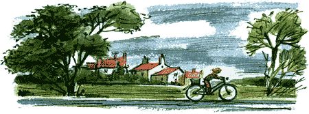 Дик Кинг-Смит - Нос королевы