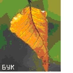 Сергей Бродяга - Инструкция: как изготовить лук своими руками