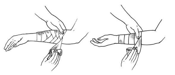 Елена Храмова, Владимир Плисов - Справочник медицинской сестры