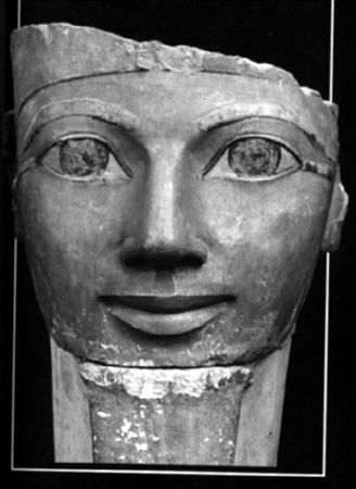 Сборник - Папоротники