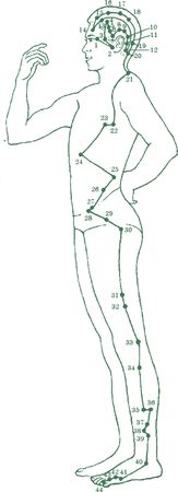 Дина Крупская - Лестница в небо, или Китайская медицина по-русски