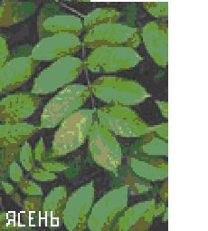 Сергей Бродяга - Инструкция: как изготовить лук своими руками