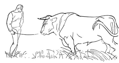 Юрий Андреев - Республика самбо