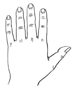 Антонина Соколова - Уроки хиромантии