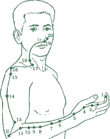 Дина Крупская - Лестница в небо, или Китайская медицина по-русски