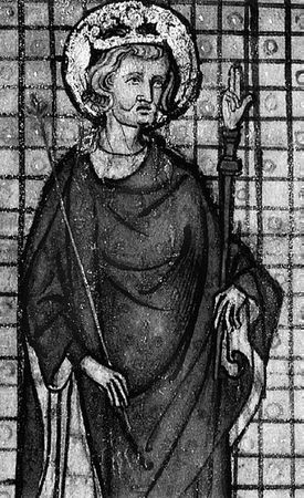 Сборник - Папоротники