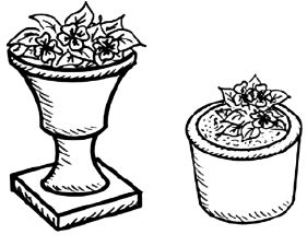 Наталья Логачева, Наталья Шешко - Энциклопедия комнатных растений