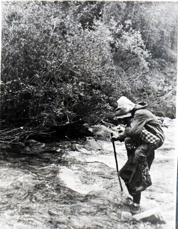 Наталья Притвиц - Саянский дневник